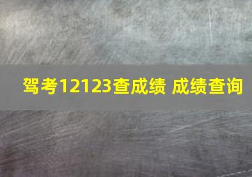 驾考12123查成绩 成绩查询